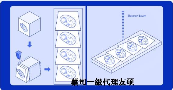 临高蔡司临高扫描电镜